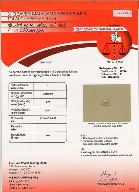 Basra Pearl - 6.77 Carat