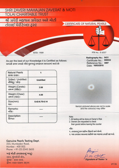 Basra Pearl - 2.68 Carat