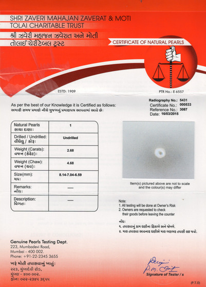 Basra Pearl - 2.68 Carat
