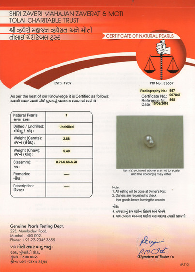 Basra Pearl - 2.88 Carat