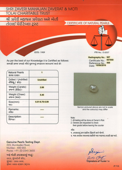 Basra Pearl - 2.88 Carat