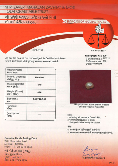 Basra Pearl - 3.1 Carat