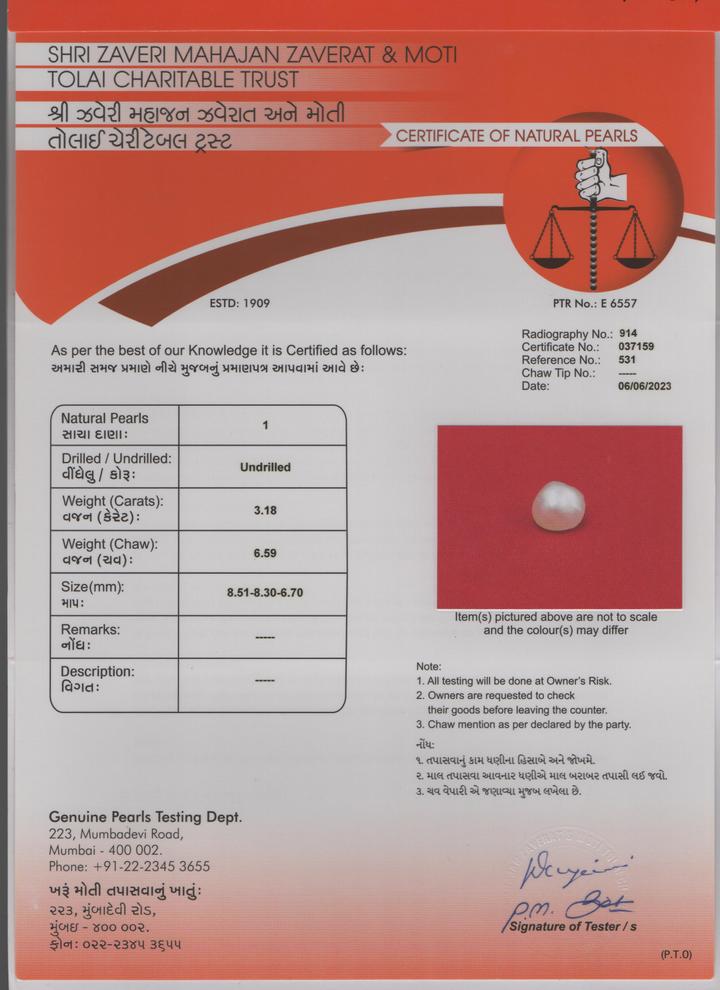 Basra Pearl - 3.18 Carat