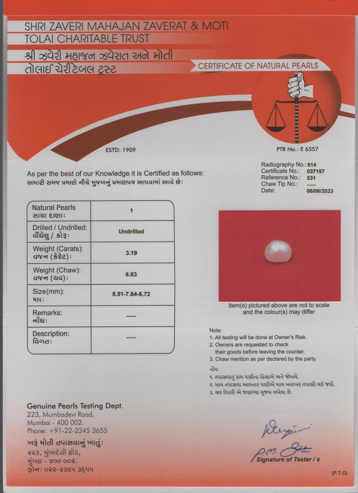 Basra Pearl - 3.19 Carat