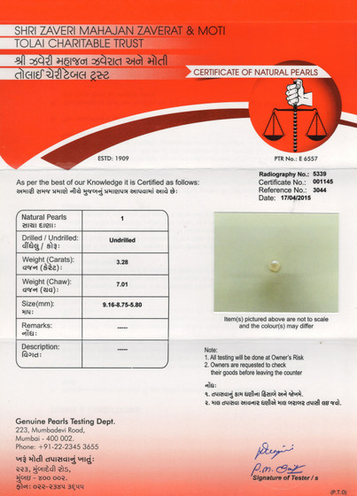 Basra Pearl - 3.28 Carat