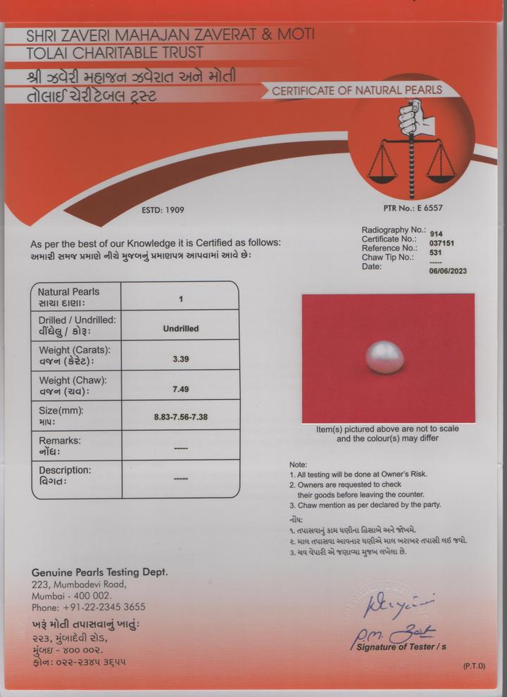 Basra Pearl - 3.39 Carat