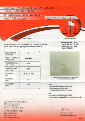 Basra Pearl - 3.78 Carat