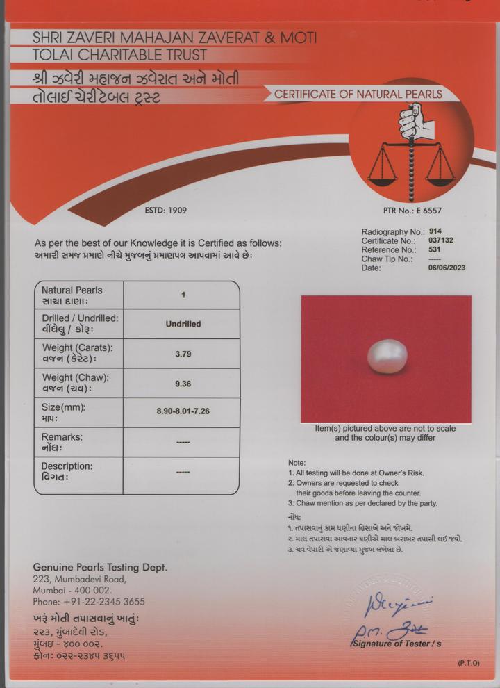 Basra Pearl - 3.79 Carat