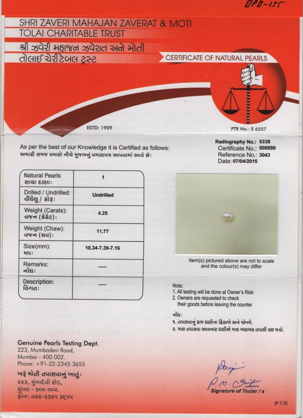 Basra Pearl - 4.25 Carat
