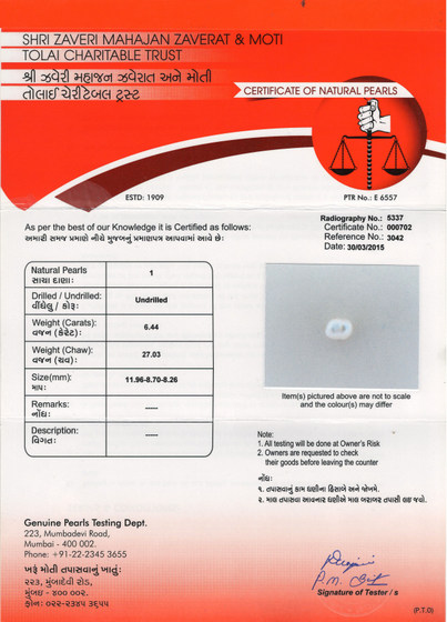Basra Pearl - 6.44 Carat