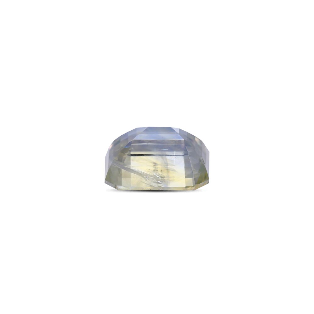Bi-Colour Sapphire(Pitambari) - 9.15 Carat