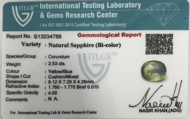 Bi-Colour Sapphire (Pitambari) - 2.53 Carat