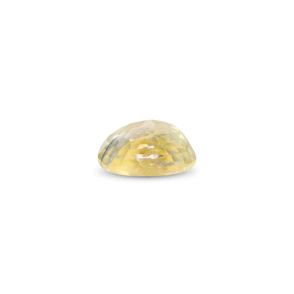 Bi-Colour Sapphire (Pitambari) - 2.63 Carat