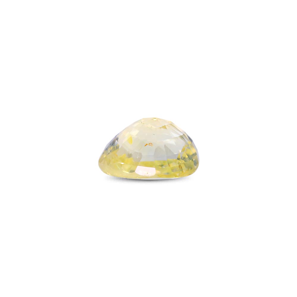 Bi-Colour Sapphire(Pitambari) - 3.08 Carat
