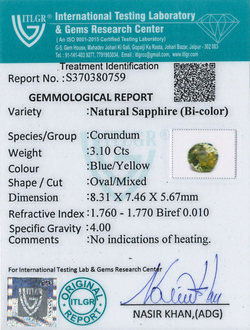 Bi-Colour Sapphire(Pitambari) - 3.1 Carat