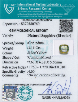 Bi-Colour Sapphire(Pitambari) - 3.11 Carat