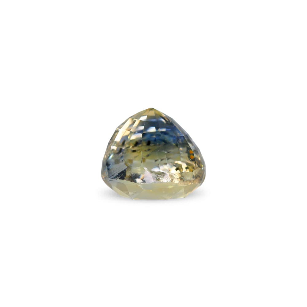 Bi-Colour Sapphire(Pitambari) - 3.54 Carat