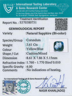 Bi-Colour Sapphire(Pitambari) - 3.61 Carat