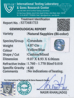 Bi-Colour Sapphire(Pitambari) - 4.87 Carat