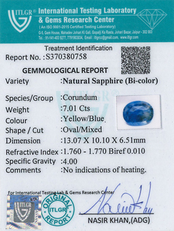 Bi-Colour Sapphire(Pitambari) - 7.01 Carat