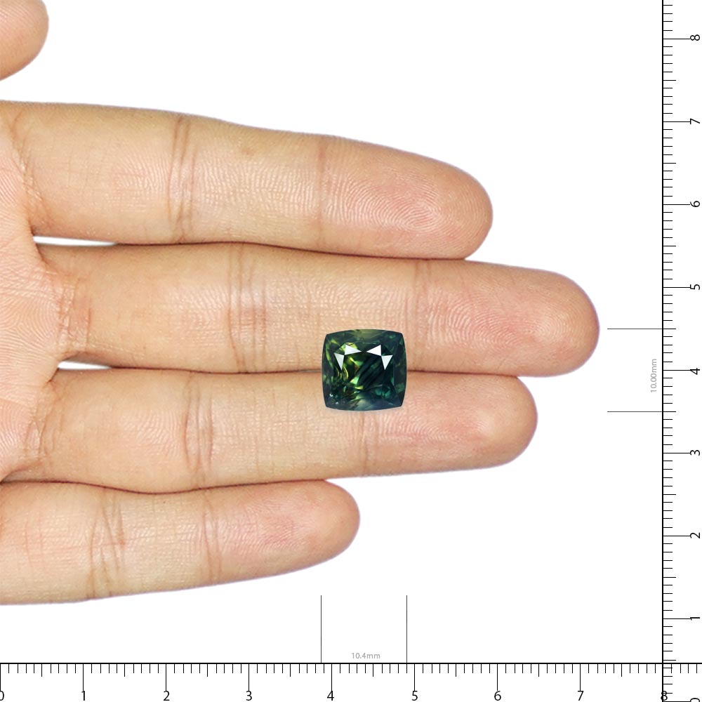 Bi-Colour Sapphire(Pitambari) - 8.99 Carat