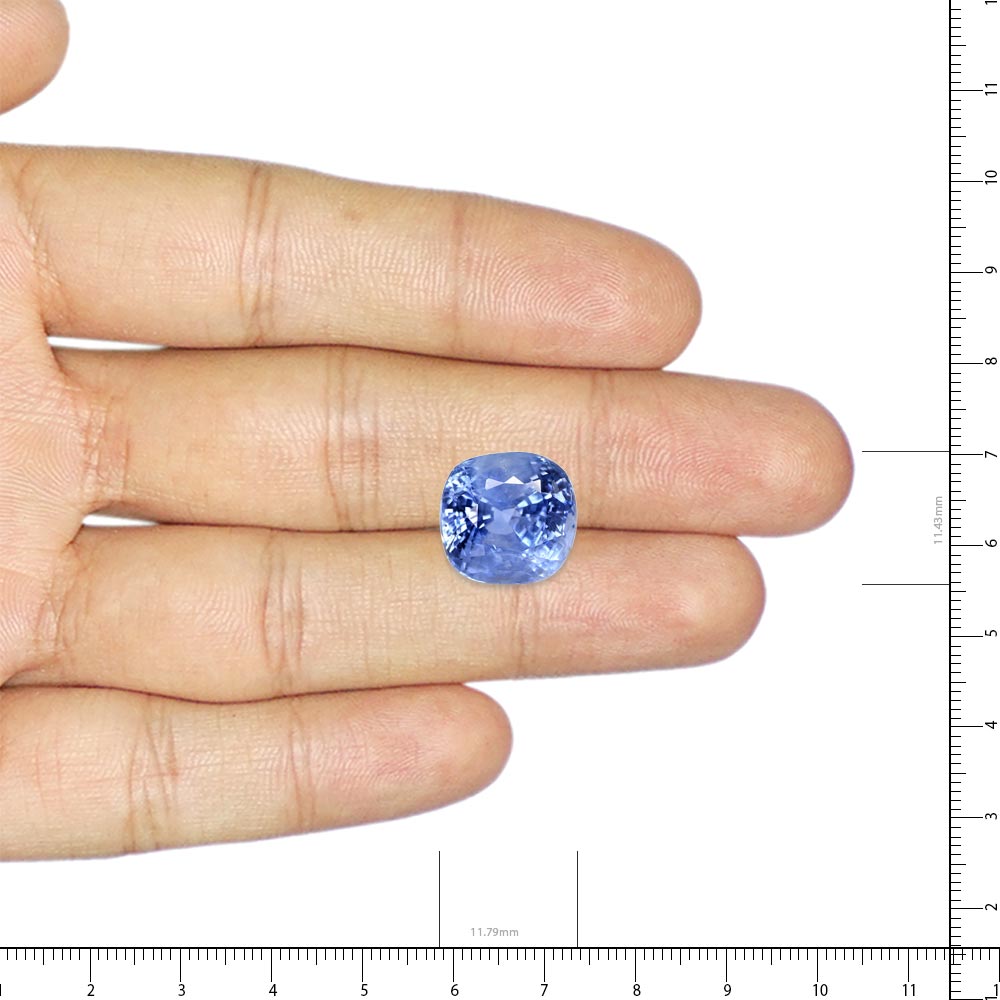 Blue Sapphire - 11.75 Carat