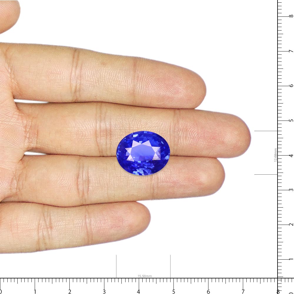 Kashmir Blue Sapphire - 12.09 Carat