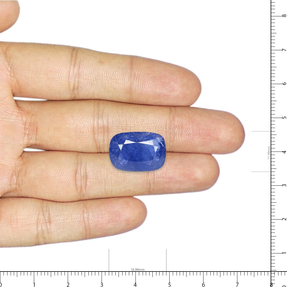 Blue Sapphire - 13.63 Carat