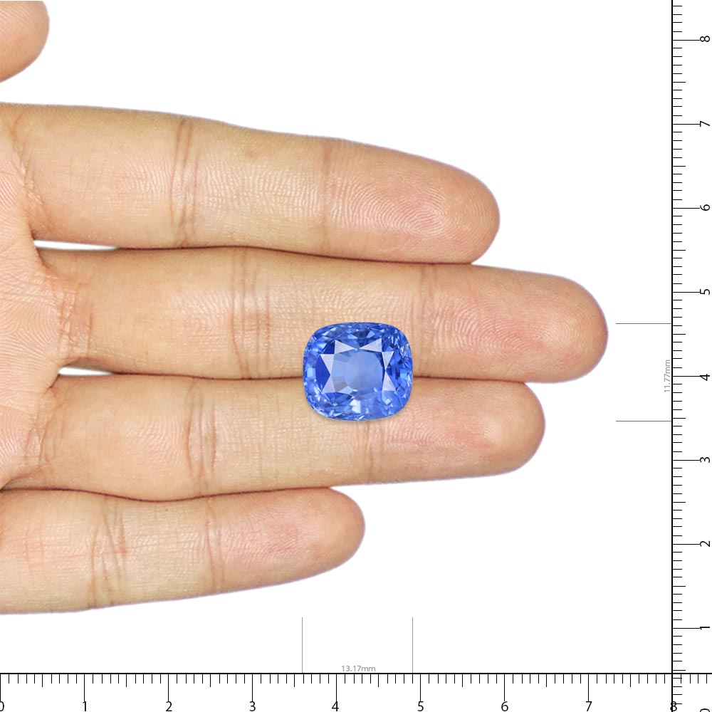 Blue Sapphire - 13.7 Carat
