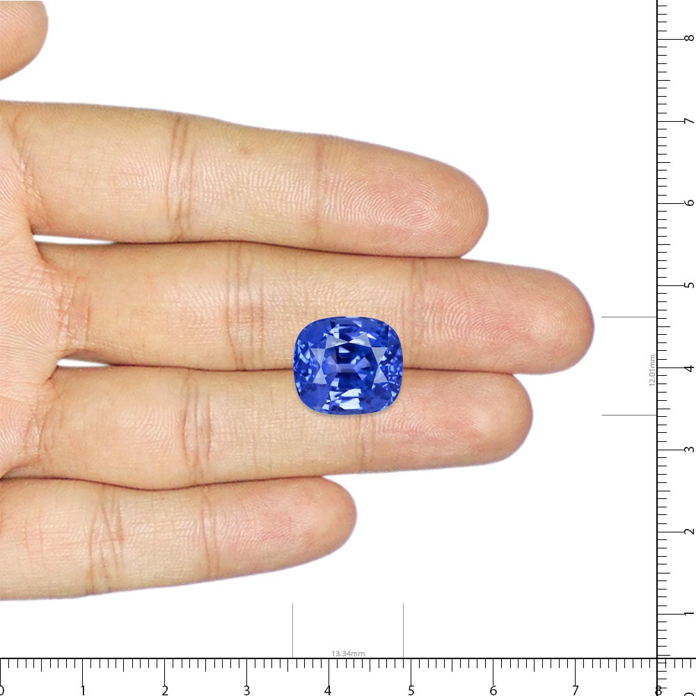 Blue Sapphire - 13.70 Carat
