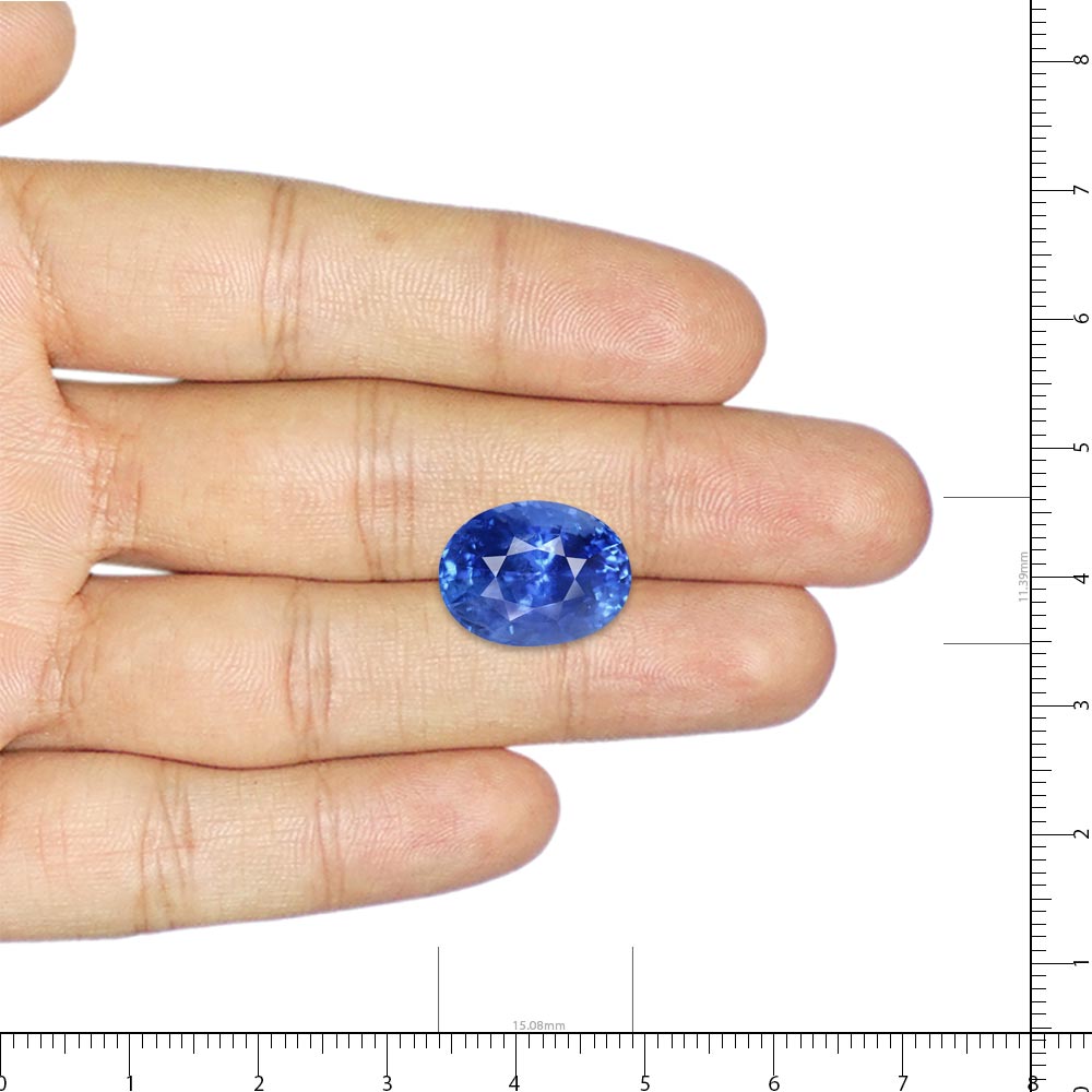 Blue Sapphire - 13.89 Carat