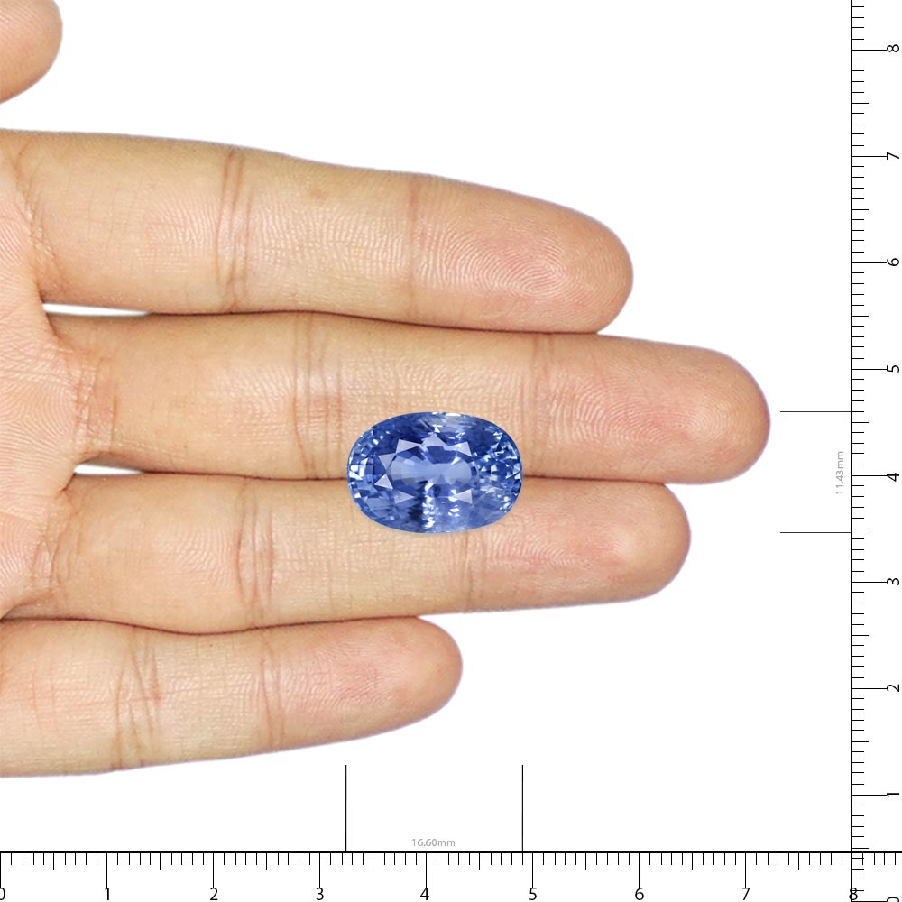 Blue Sapphire - 16.97 Carat