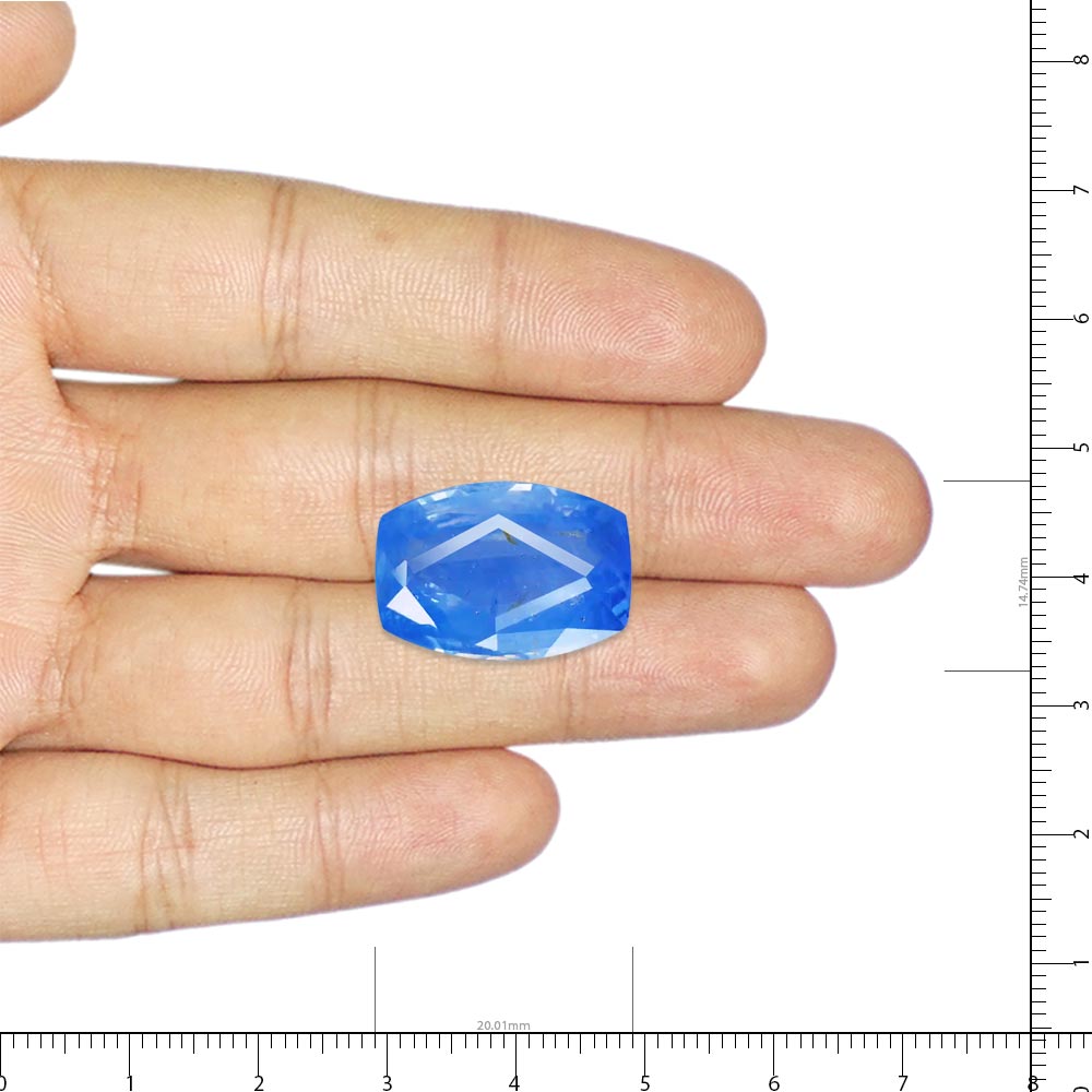 Blue Sapphire - 27.38 Carat