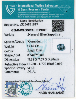 Blue Sapphire - 3.16 Carat