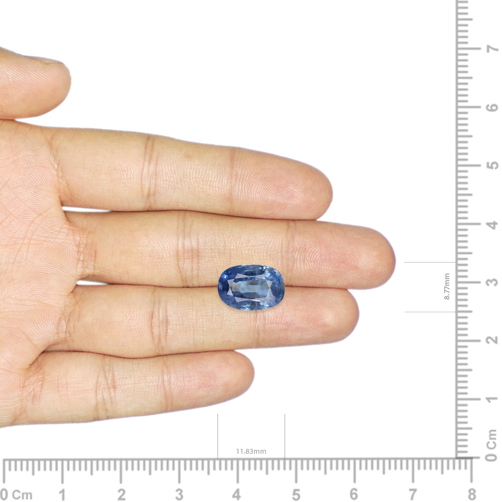 Blue Sapphire - 3.59 Carat