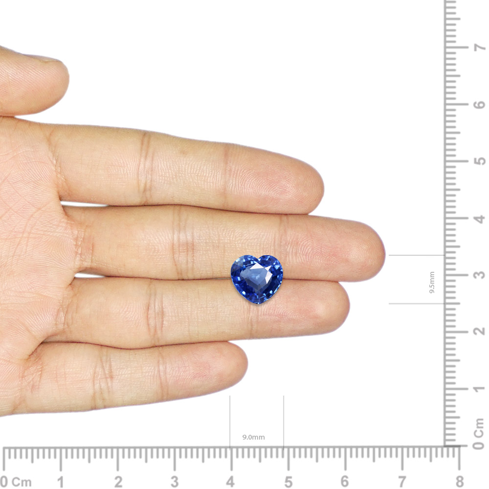 Blue Sapphire - 3.69 Carat