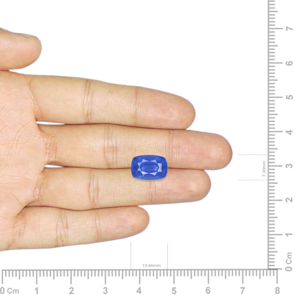 Blue Sapphire - 3.91 Carat