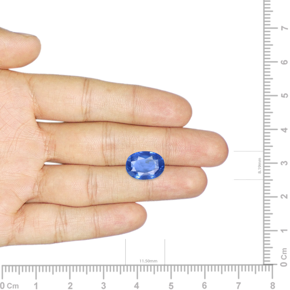 Blue Sapphire - 4.43 Carat