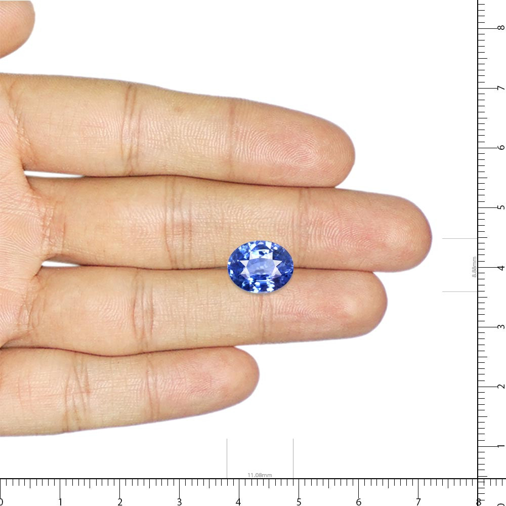 Blue Sapphire - 5.01 Carat