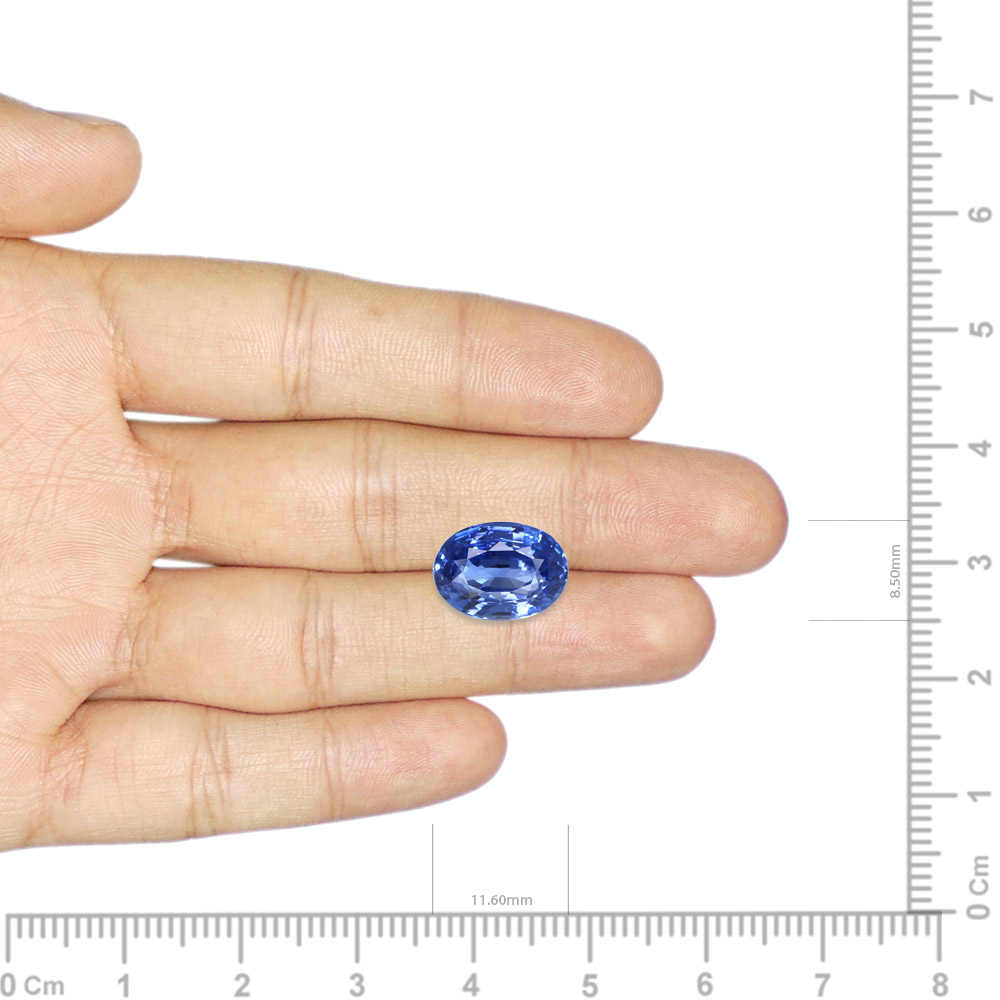 Blue Sapphire - 5.23 Carat