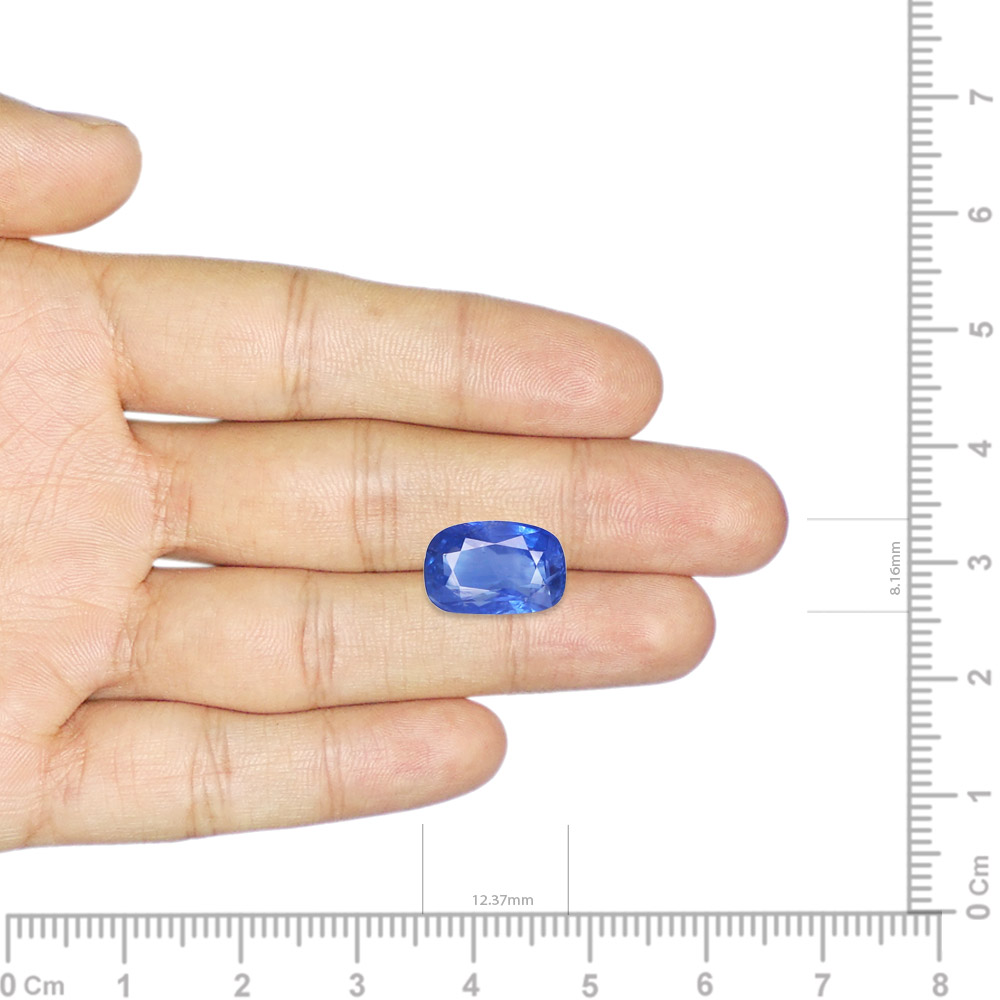 Blue Sapphire - 6.87 Carat