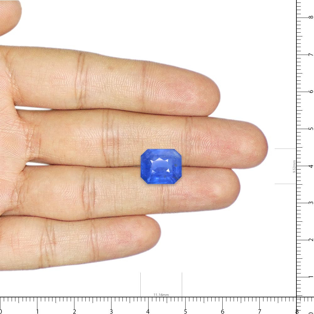 Blue Sapphire - 7.05 Carat