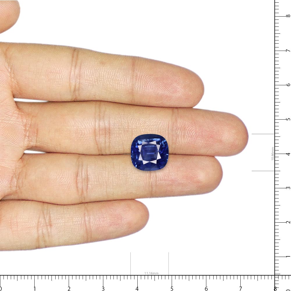 Blue Sapphire - 7.13 Carat