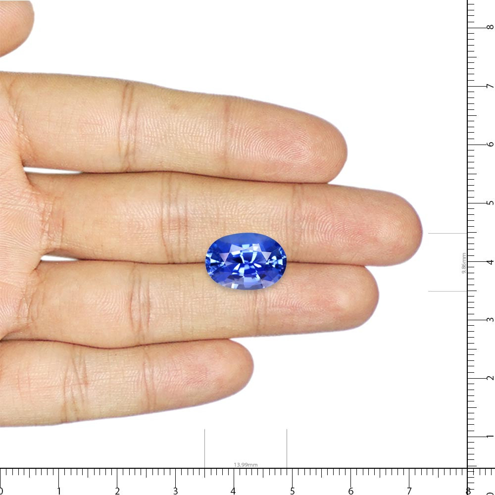 Blue Sapphire - 7.28 Carat