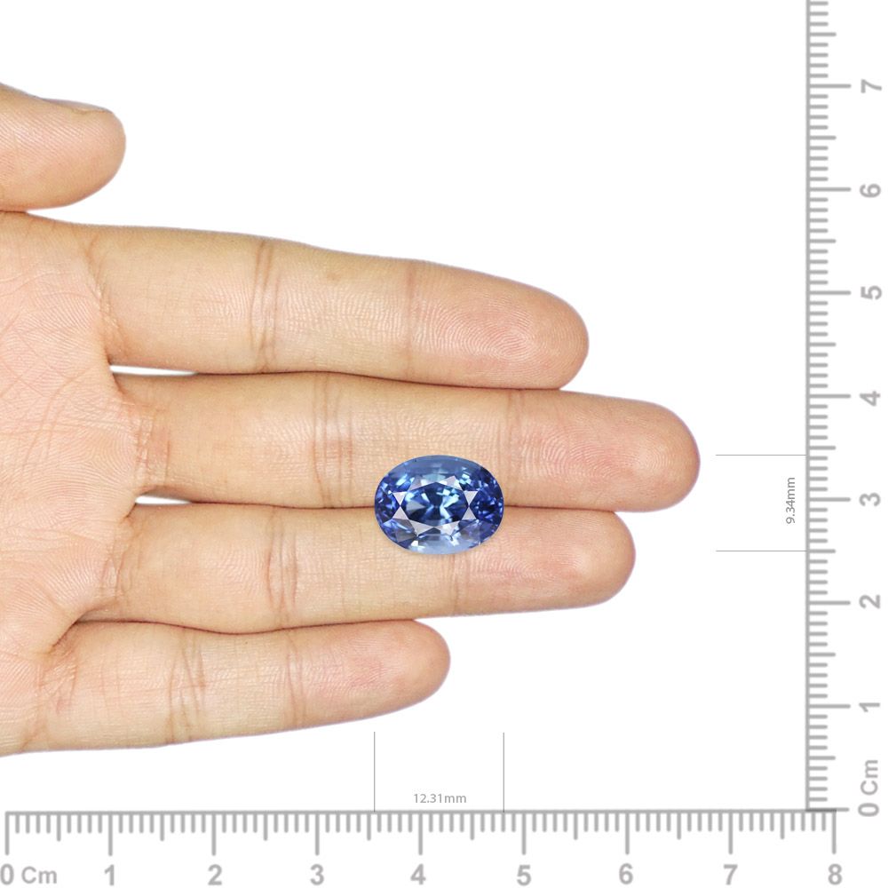 Blue Sapphire - 7.50 Carat