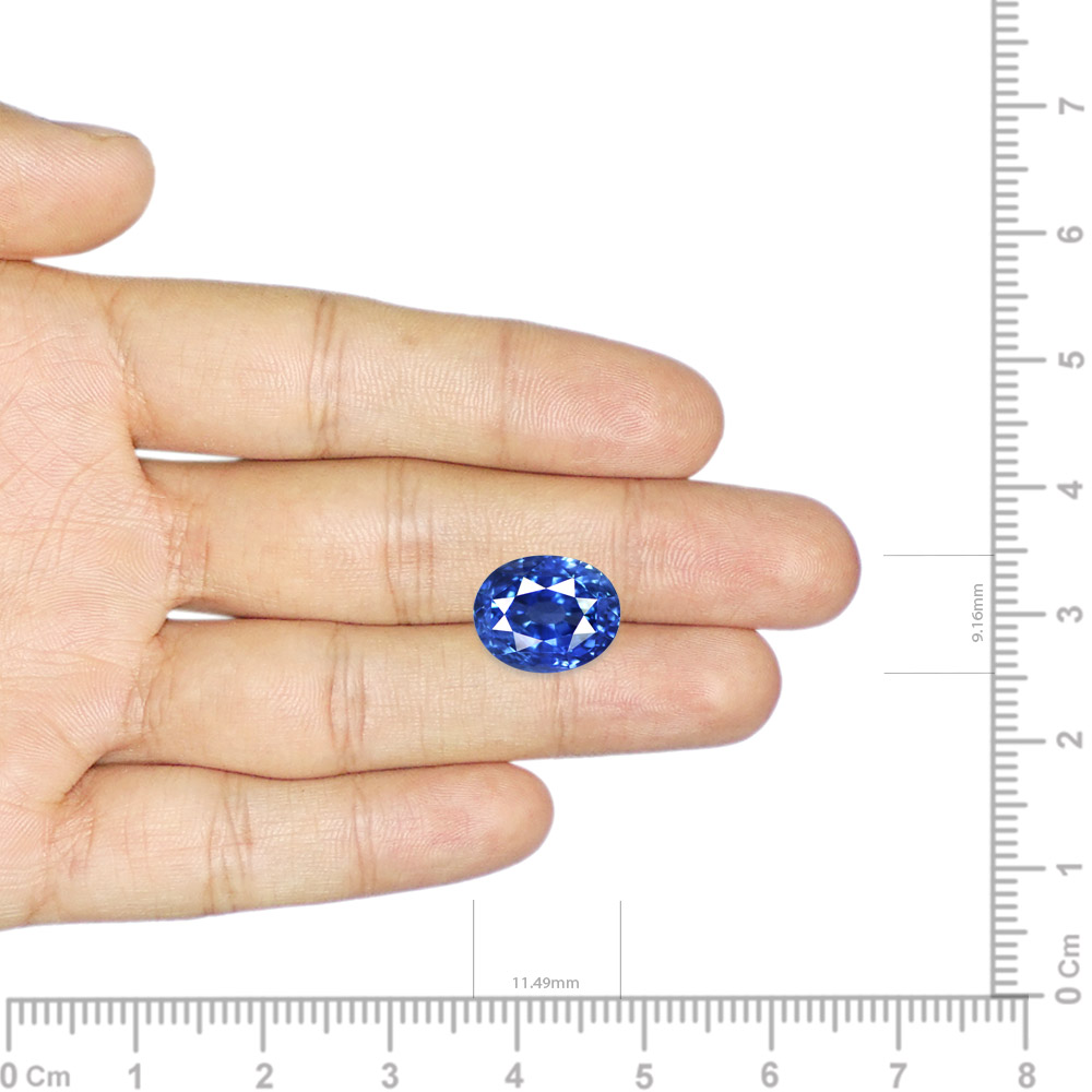 Blue Sapphire - 8.04 Carat