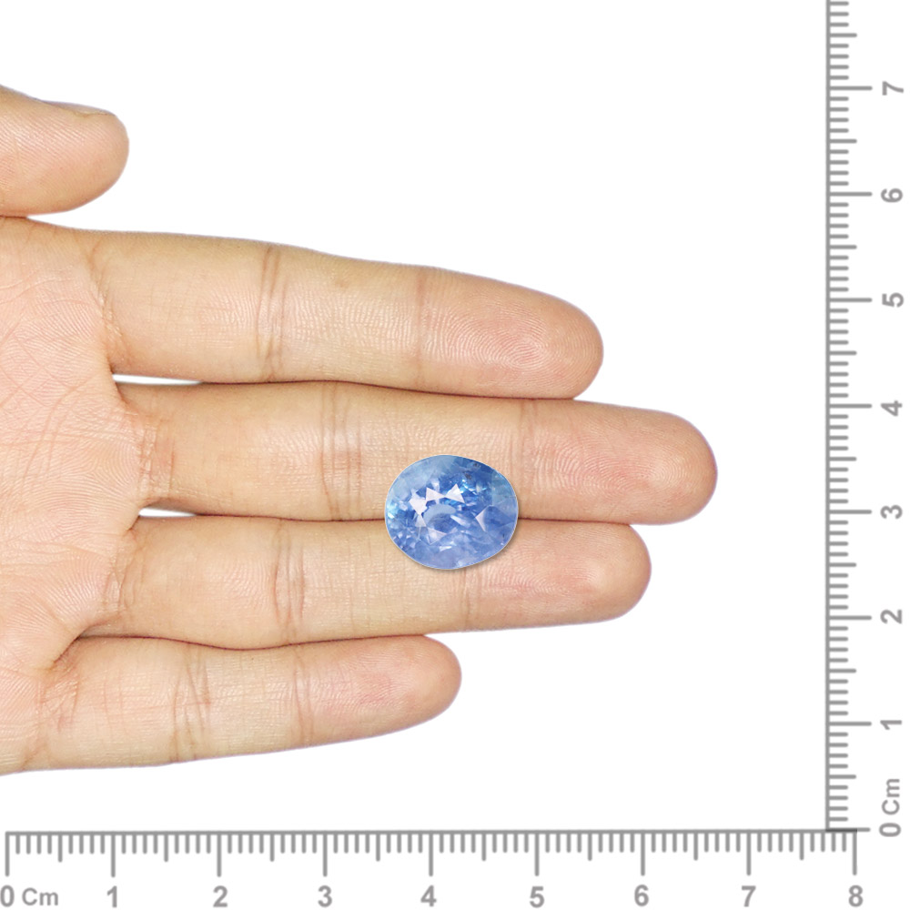 Blue Sapphire - 8.67 Carat