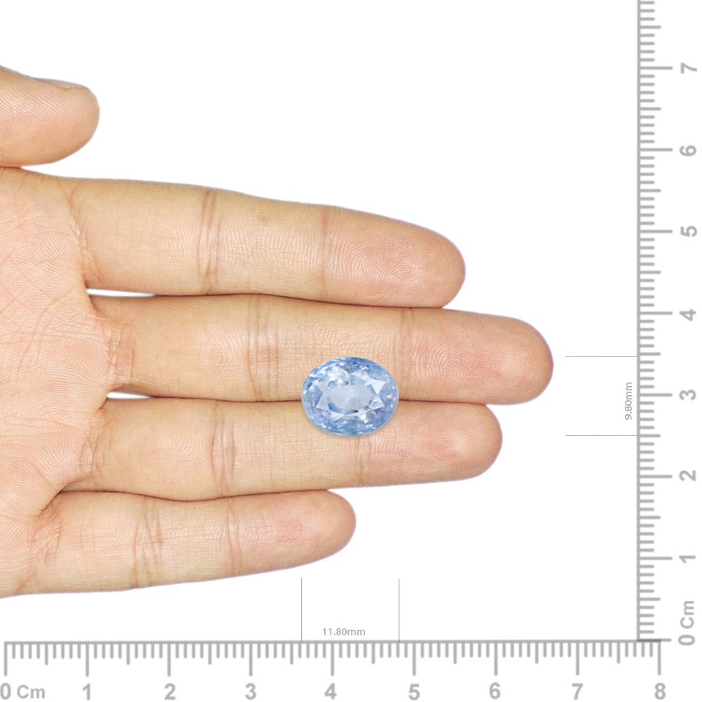 Blue Sapphire - 8.99 Carat