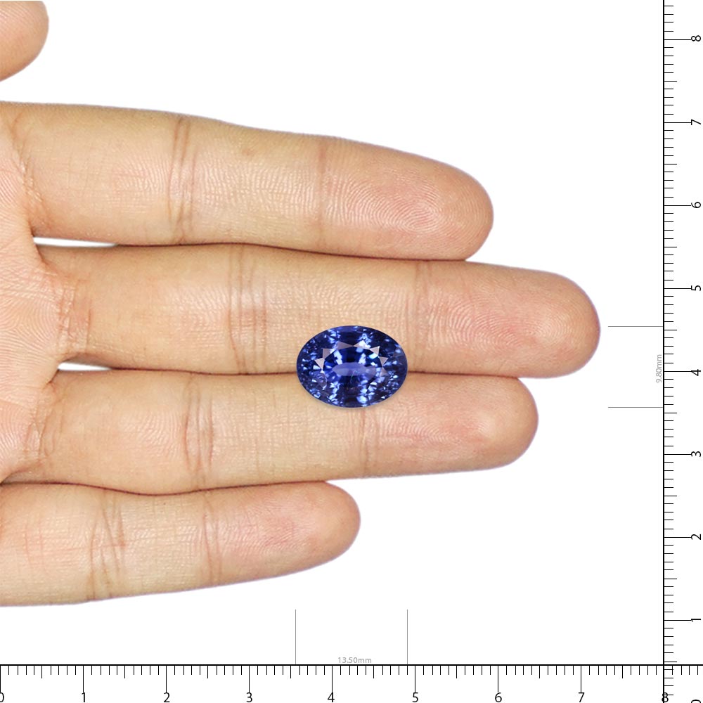 Blue Sapphire - 9.54 Carat
