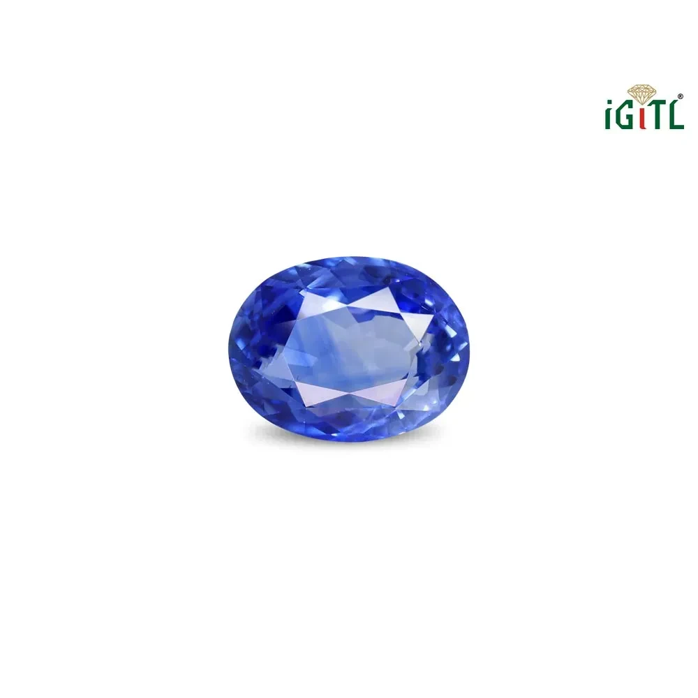 Blue Sapphire (Neelam) - 3.07 Carat